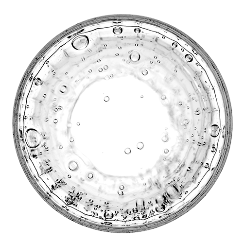Algae Extract