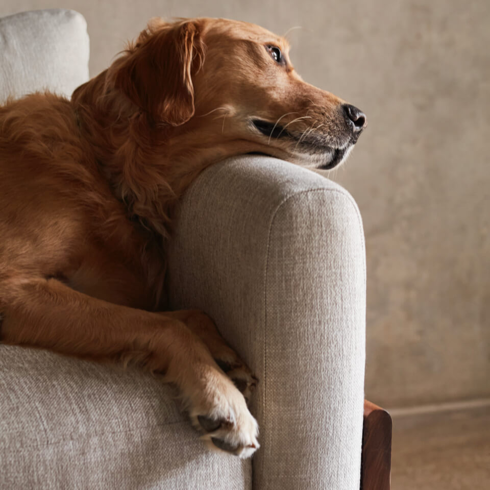 CRYPTON® HOME PERFORMANCE FABRIC