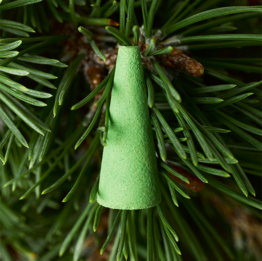 rich pine
