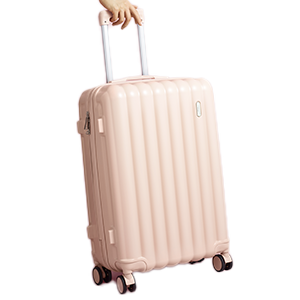 Pink Check-In Luggage