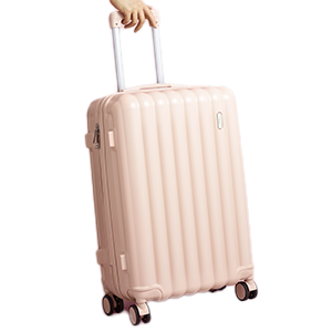 Pink Check-In Luggage