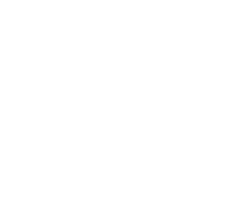 Golden Ladle