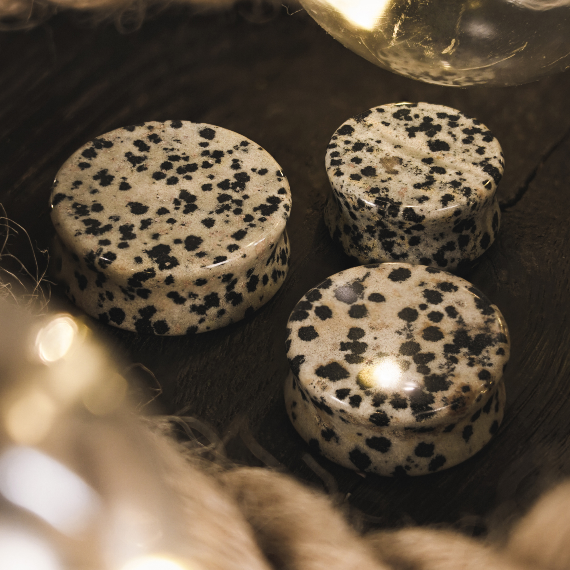 Cute  Dalmatian Jasper Stone Plug / Gauge