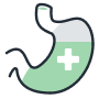 Gut Health