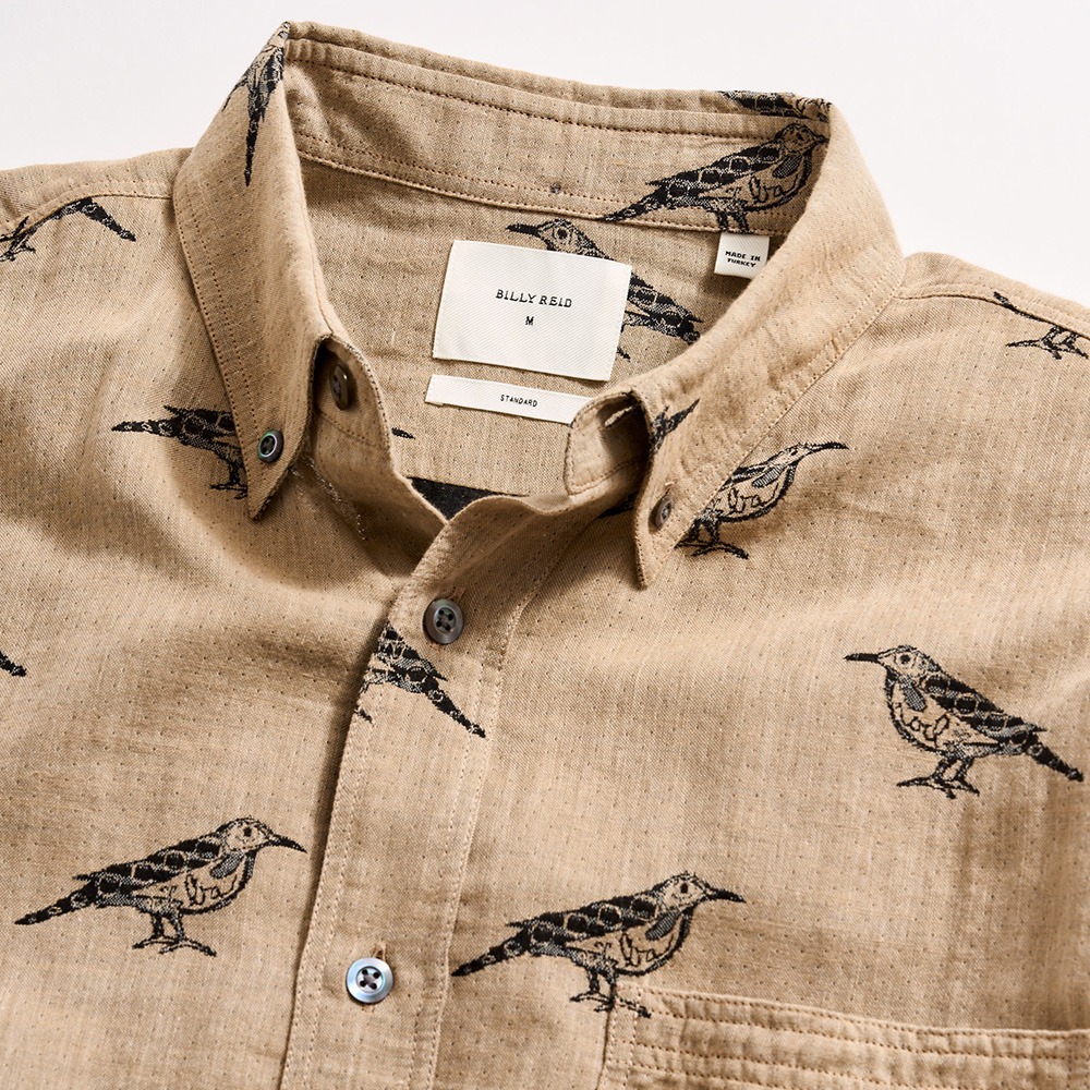 Button down collar