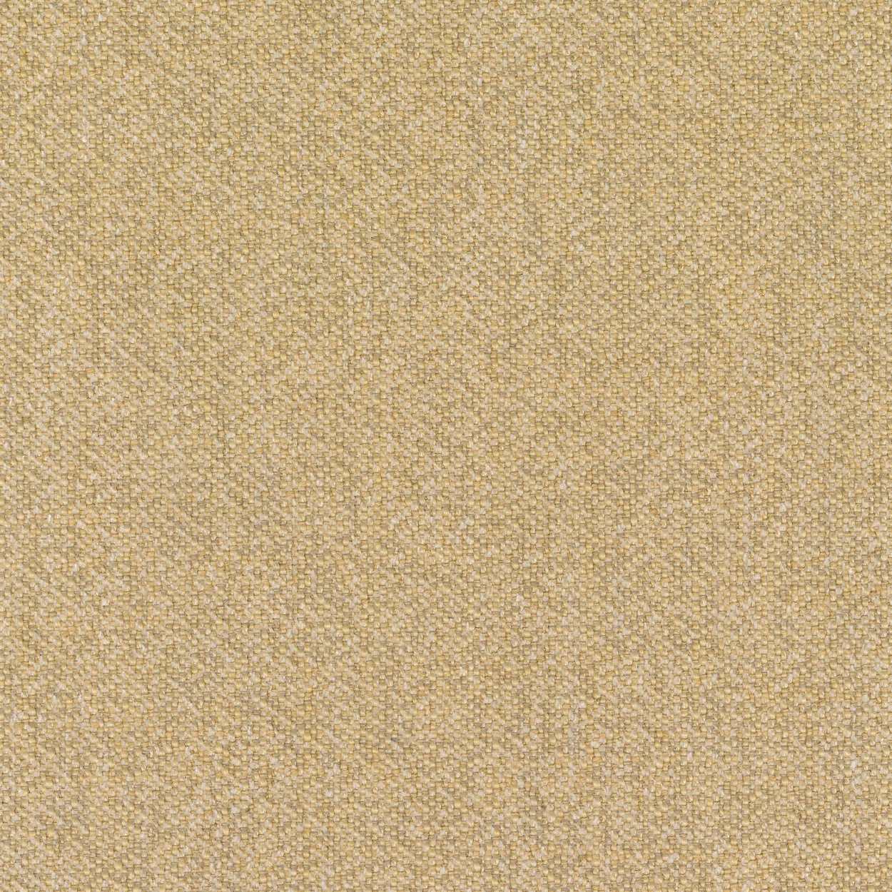 Pollen-Ecriture 0410