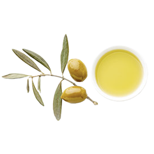 Olive Sensation Vegan Hand & Body Crème (28 oz.)