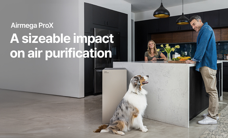 
ProX in large kitchen with dog
