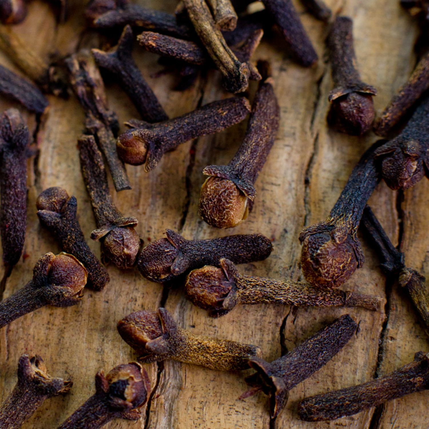 Clove Buds Whole (30grams) - Asteria Apothecary | Philippines Clove Buds Whole (30grams) - Asteria Apothecary | Philippines