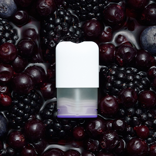 blackcurrant pod