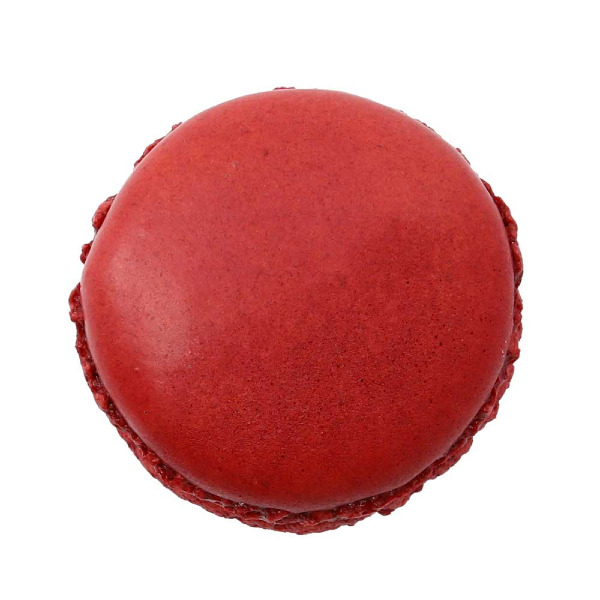 Macaron - Elmer-top-web.jpg