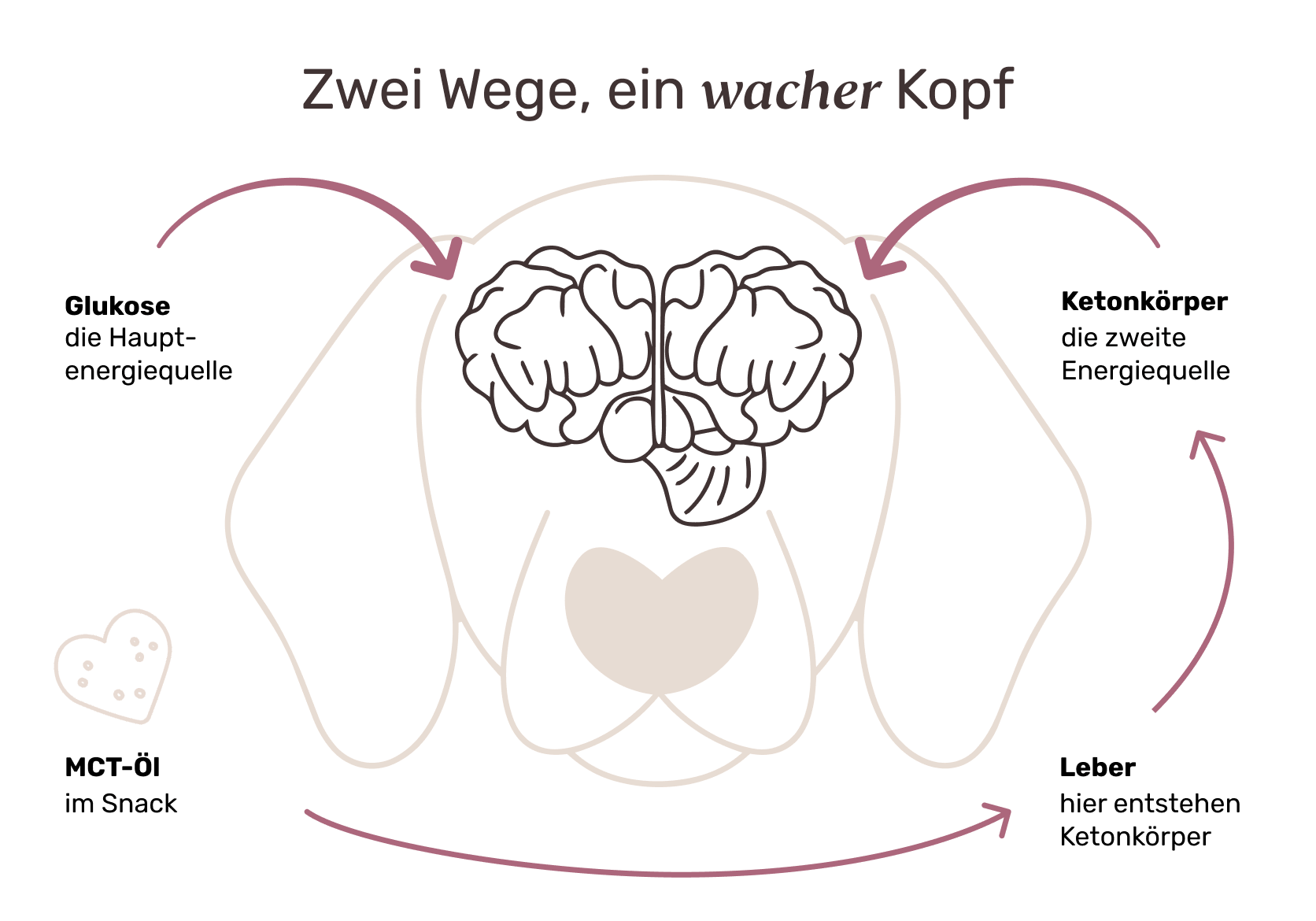 So funktioniert es