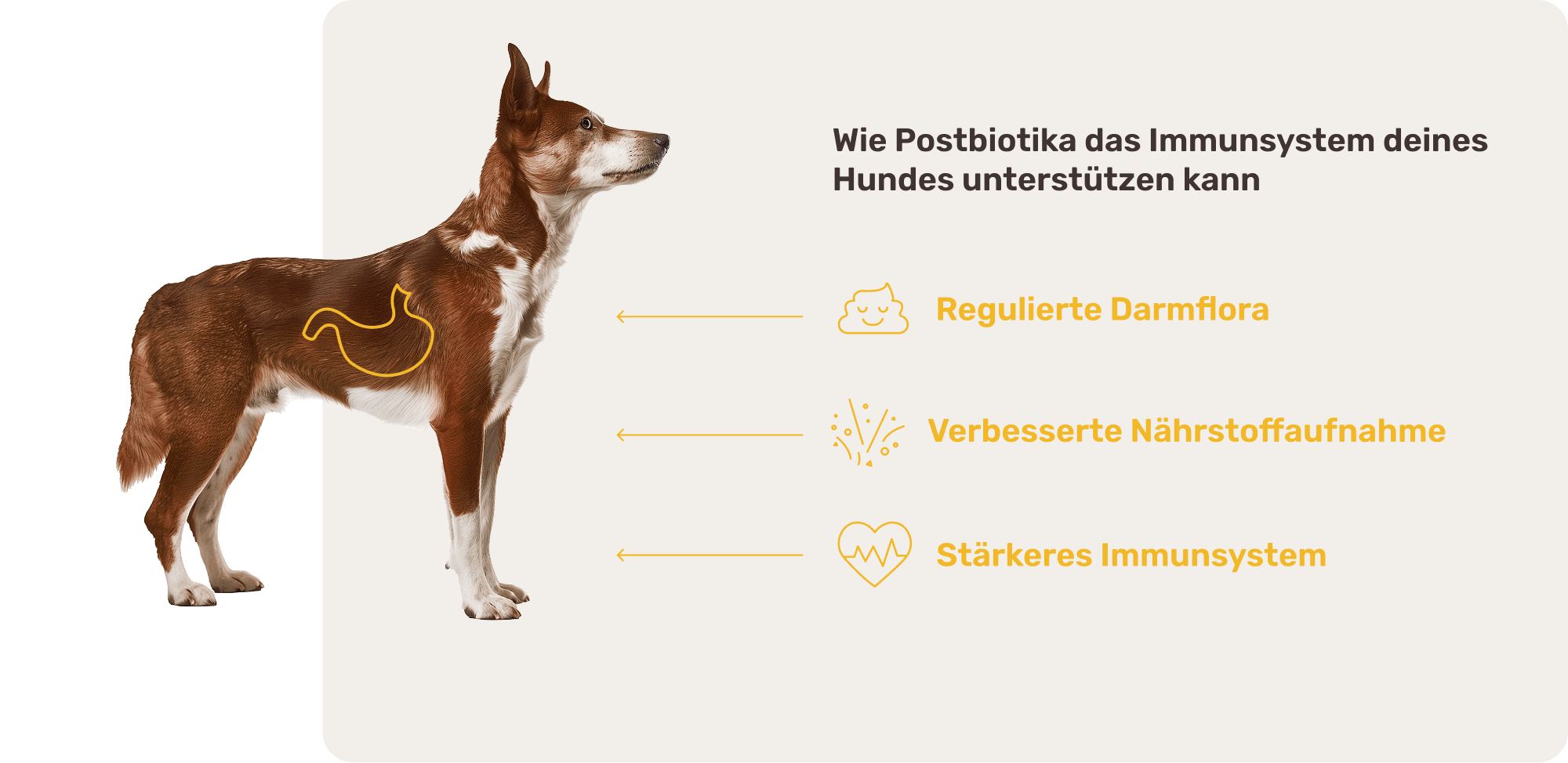 So funktioniert es