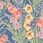 Gladiolus