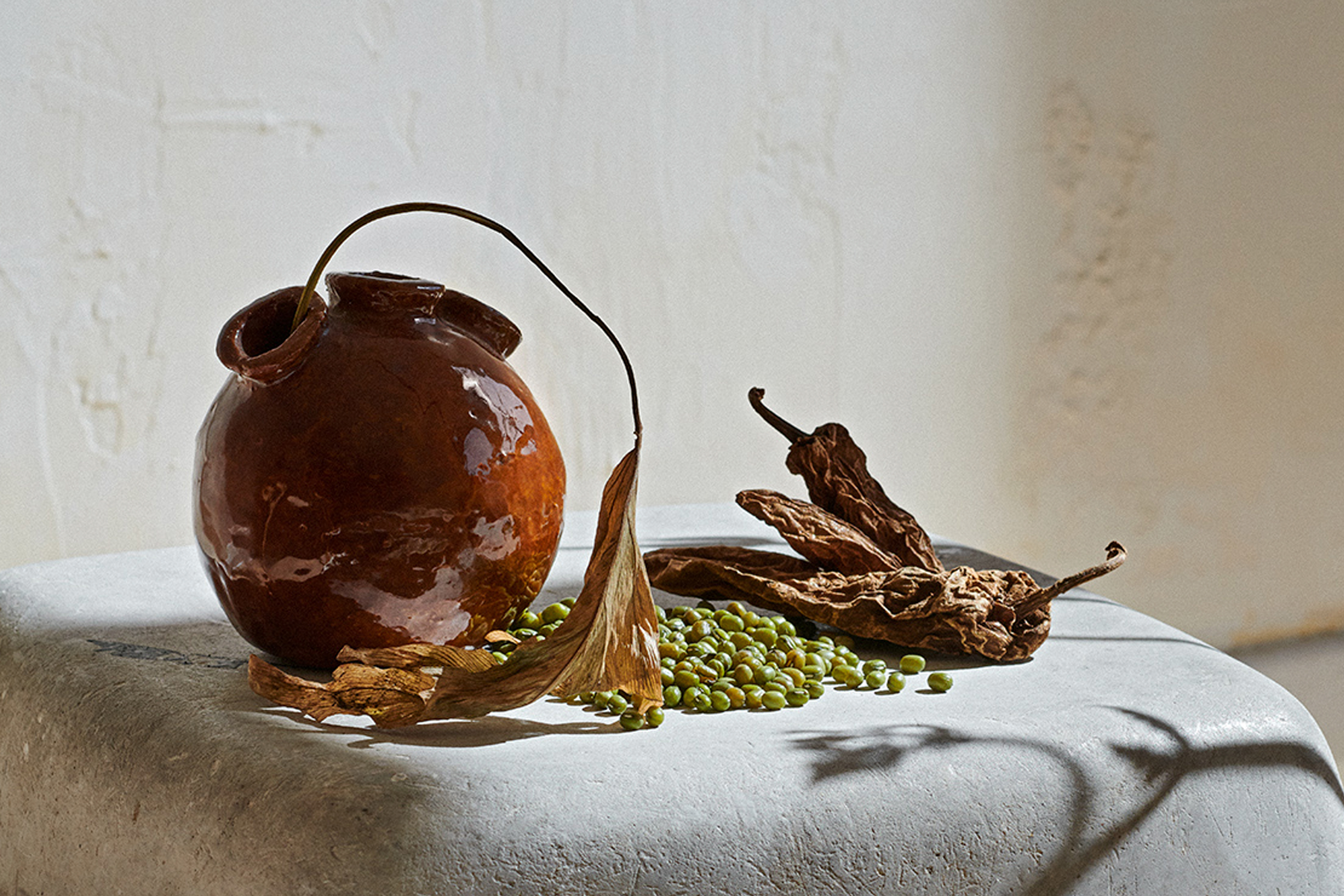 Victoria Zschommler Jardan