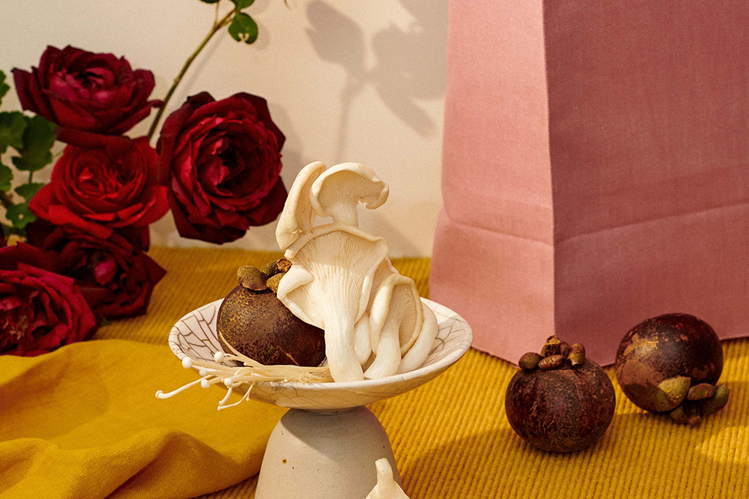 Victoria Zschommler Jardan