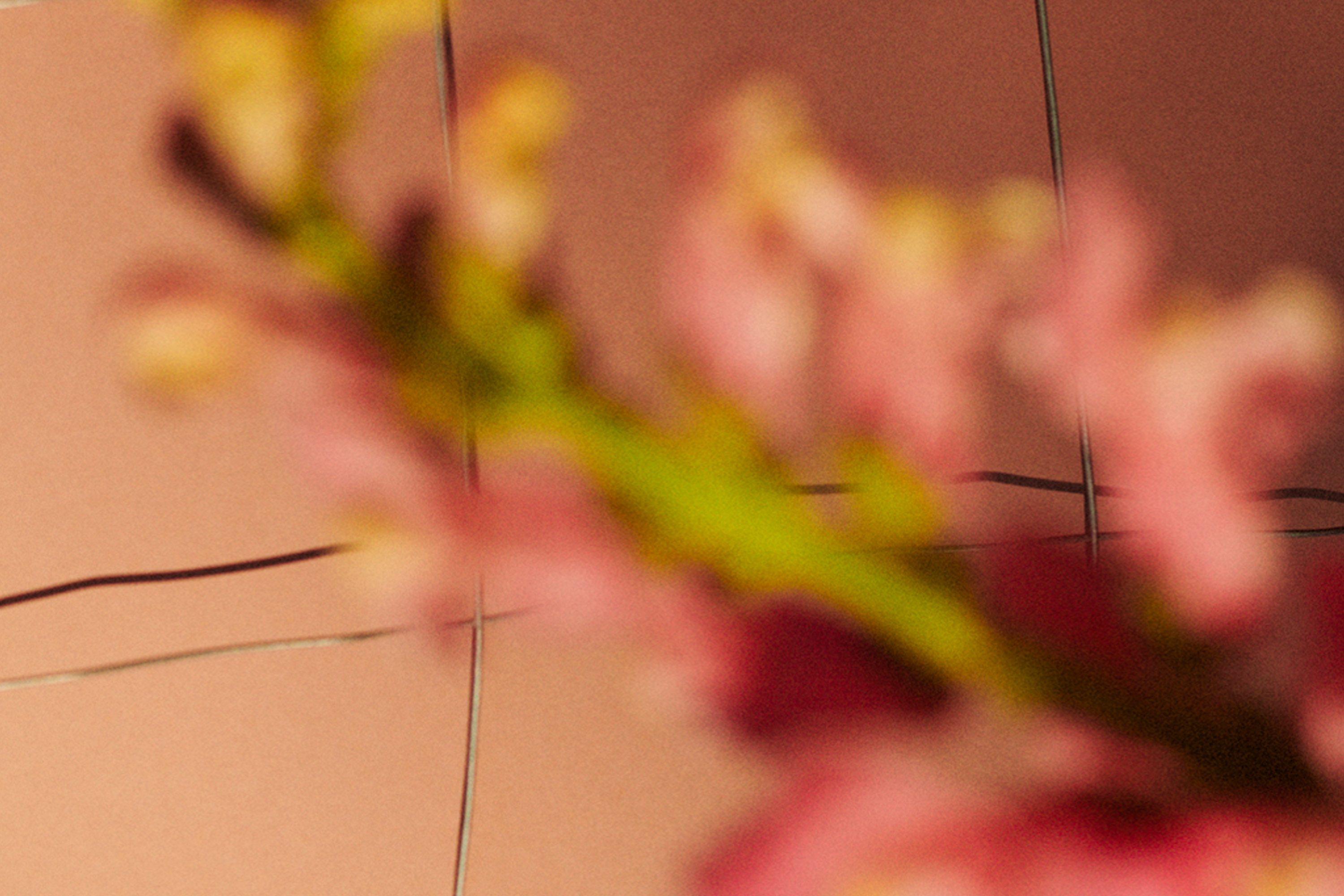 Victoria Zschommler Jardan