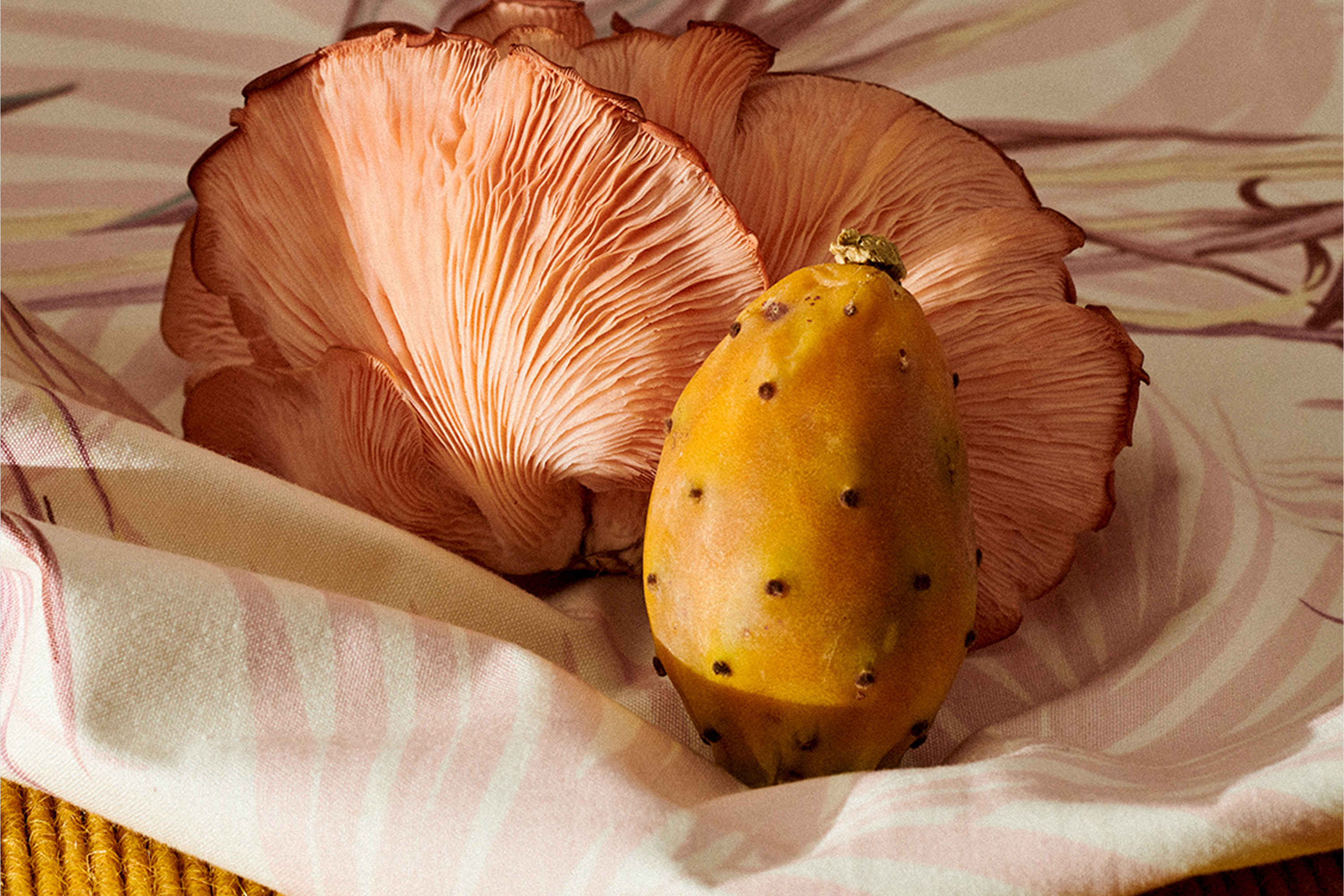 Victoria Zschommler Jardan