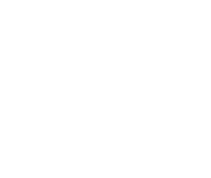 Chamomile