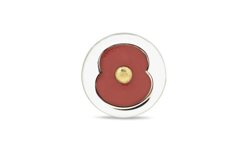 Sea Land and Air Poppy Lapel Pin