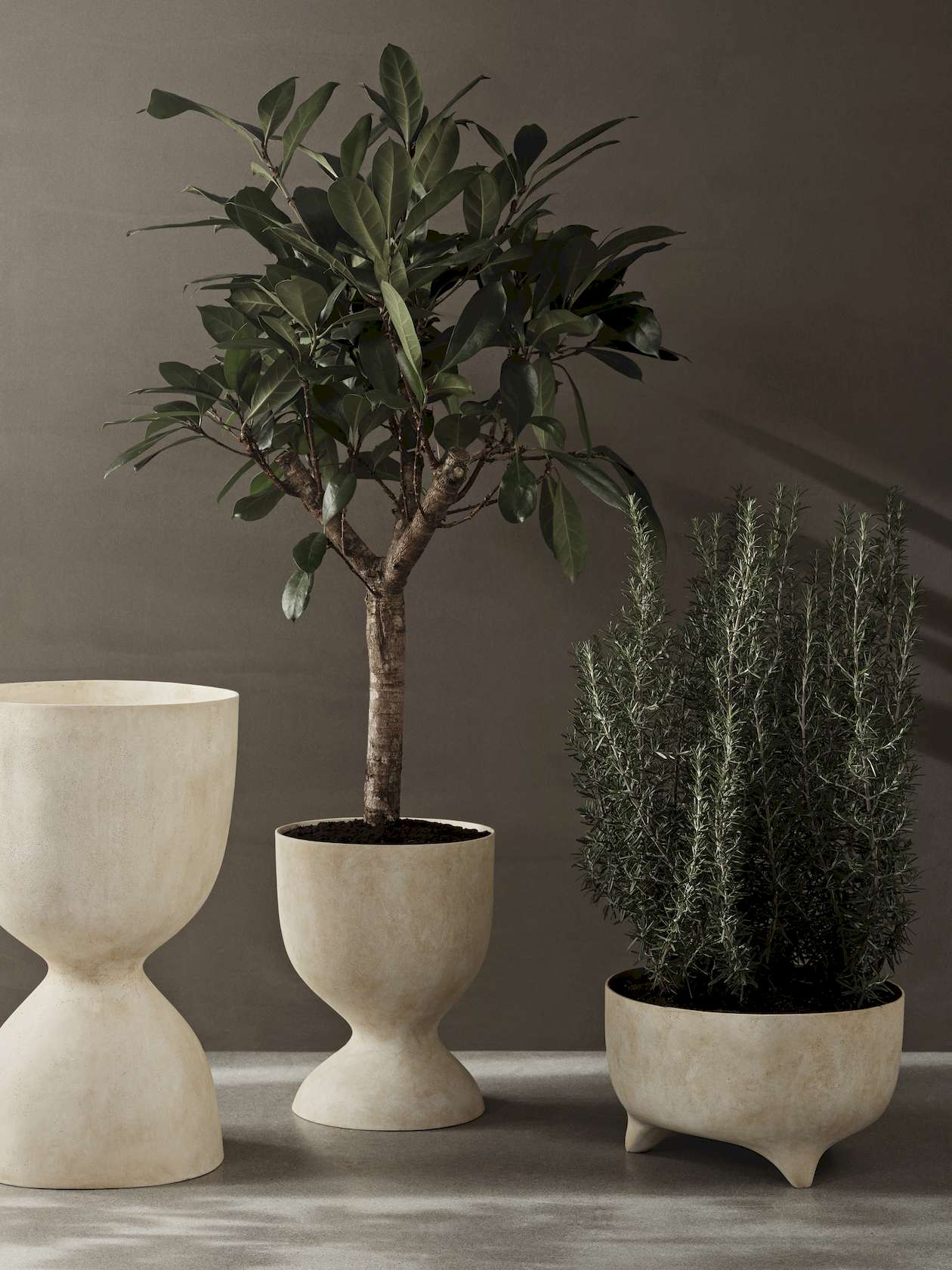 Evoke Medium Pot