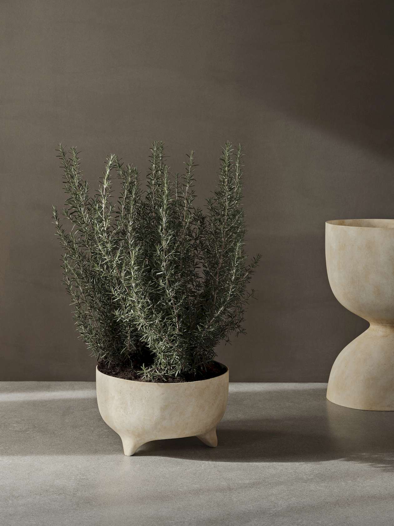 Evoke Medium Pot