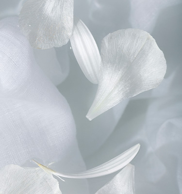 Background image with petals and linen