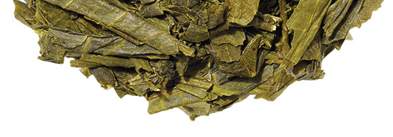 SENCHA TEA PILE