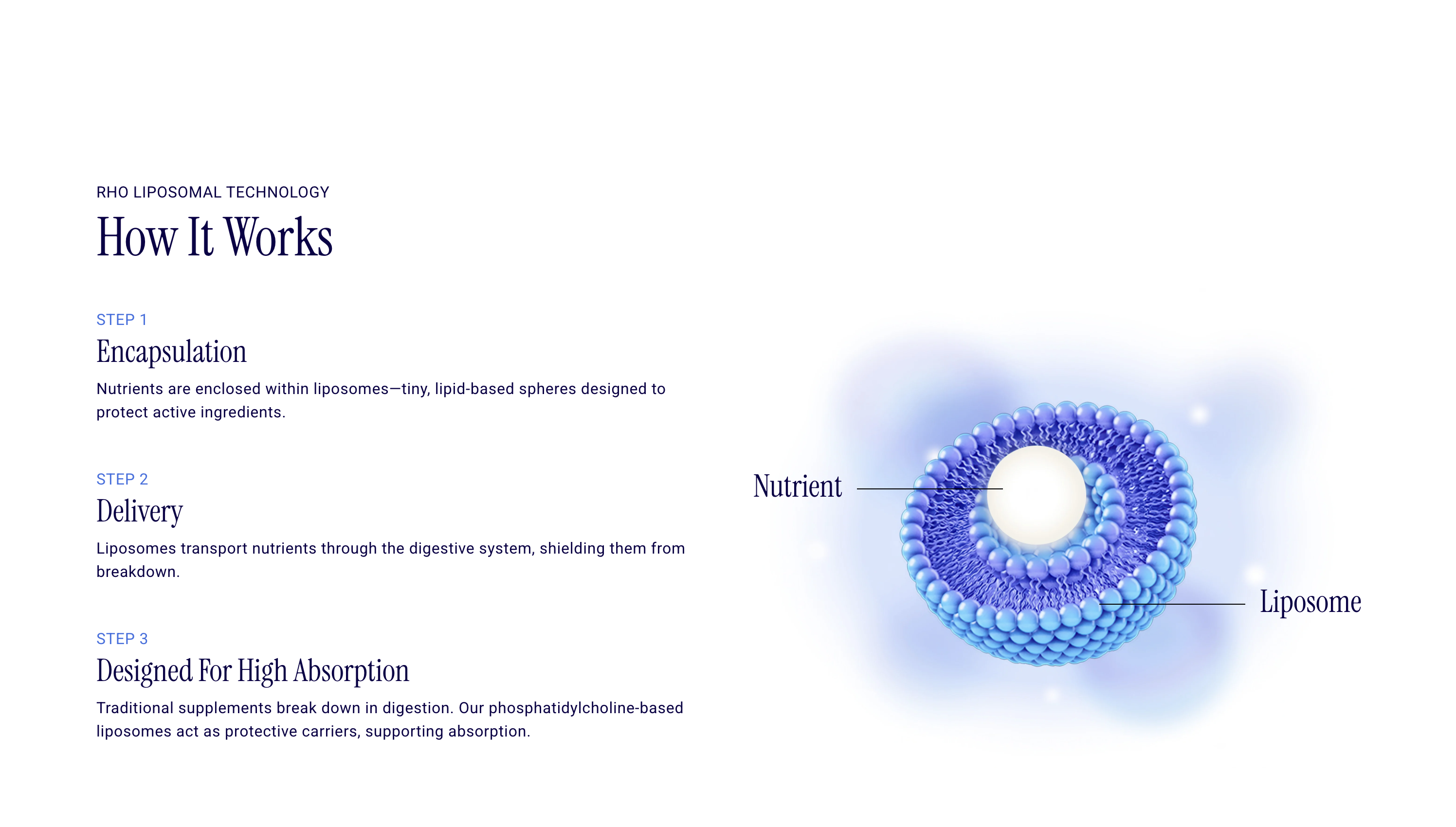 RHO Liposomal Technology How It Works