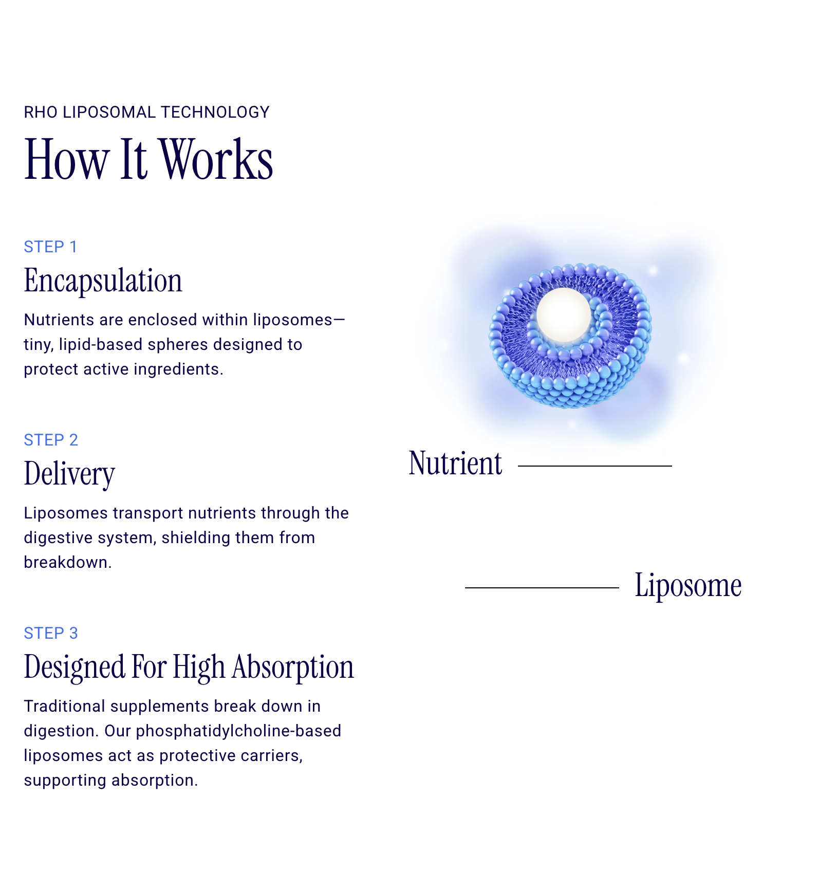 RHO Liposomal Technology How It Works