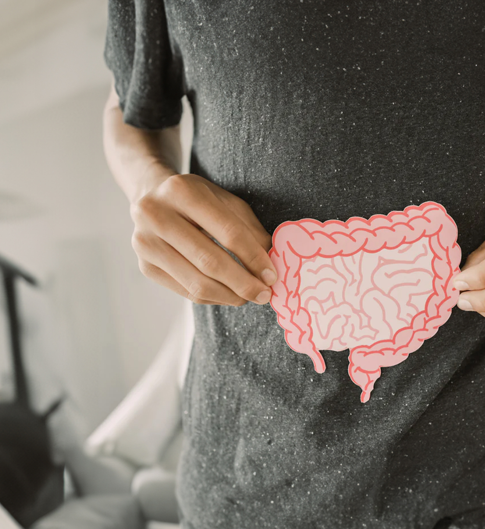 A person holding an illustration of a gut over their stomach.