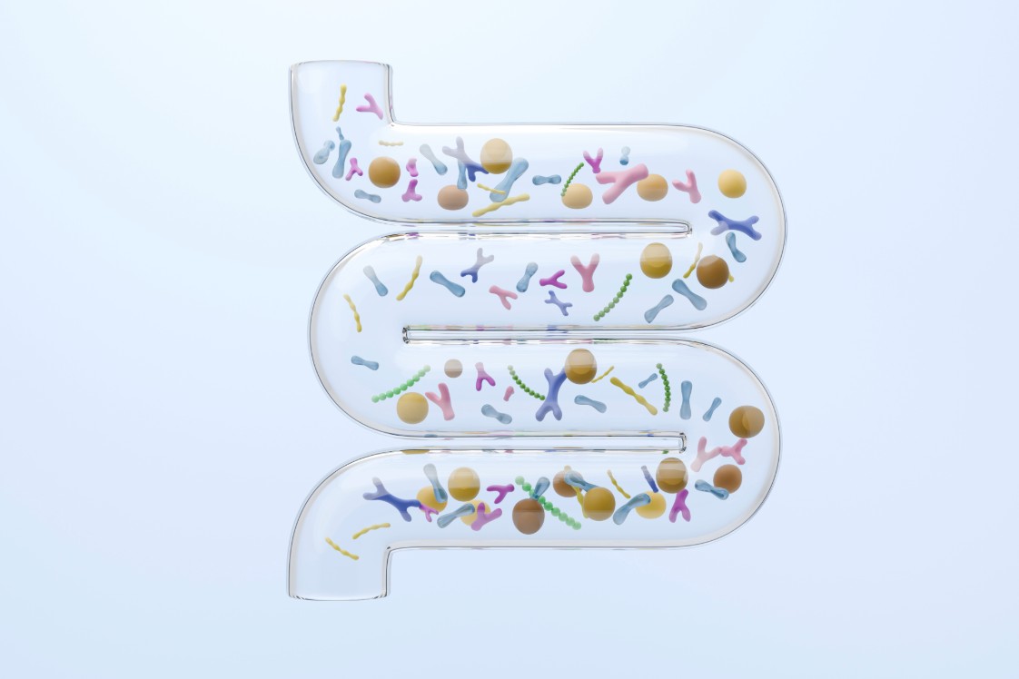 An illustration of prebiotics, probiotics and postbiotics in the gut. 