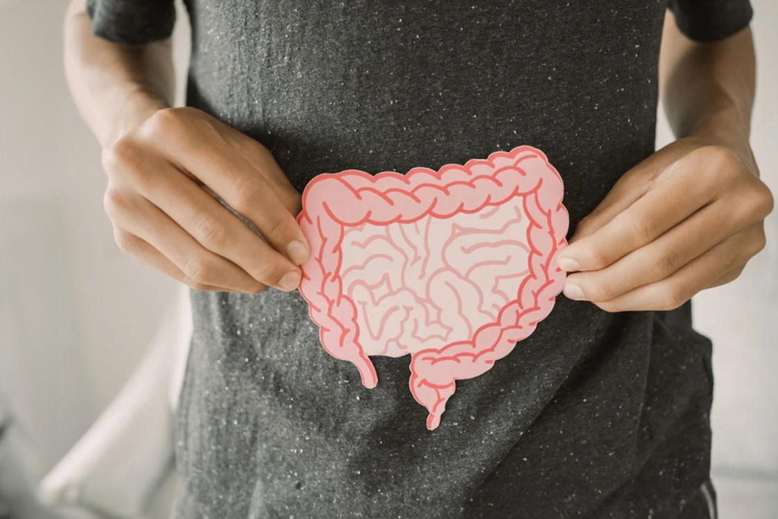 Man holding an illustration of the gut