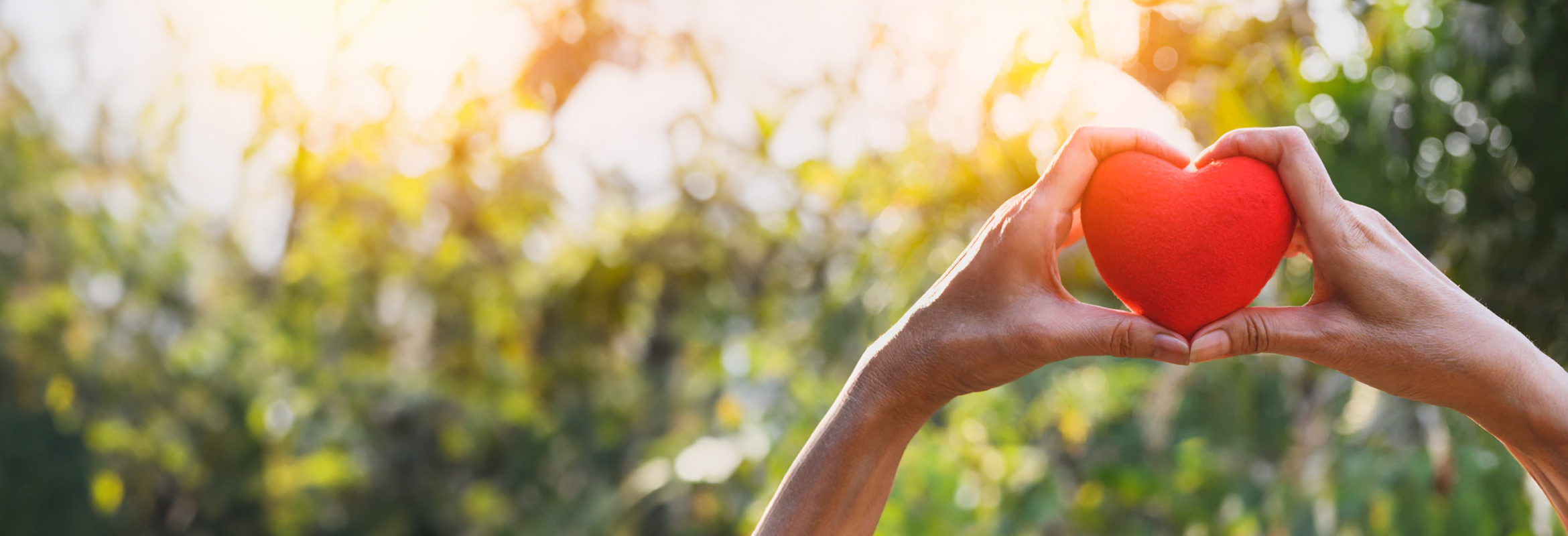 Hands wrapped around a red heart outdoors.