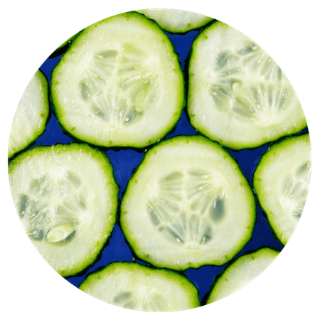 Cucumber Fruit Extract