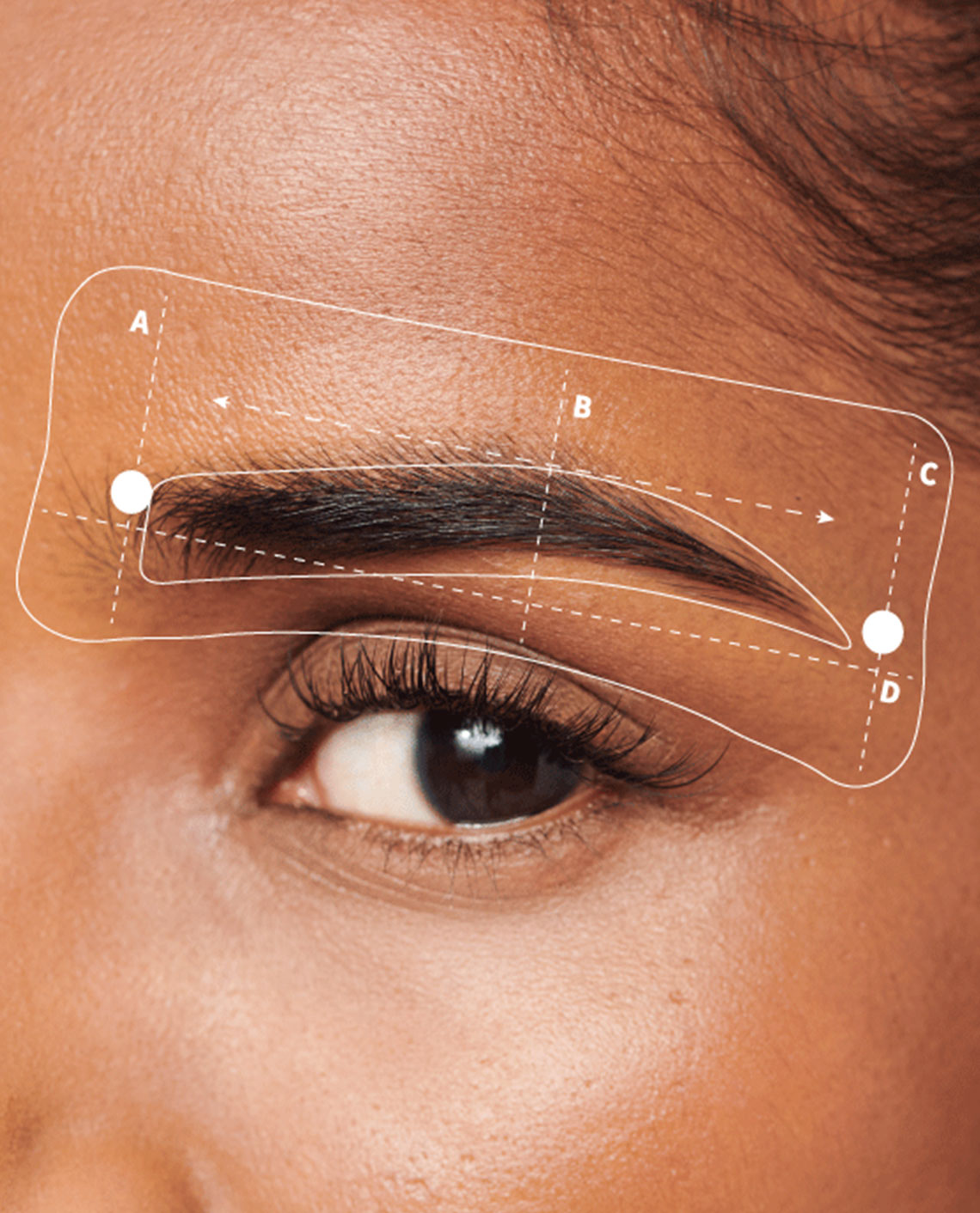 Eyebrow Stencils Brow Mapping Tool