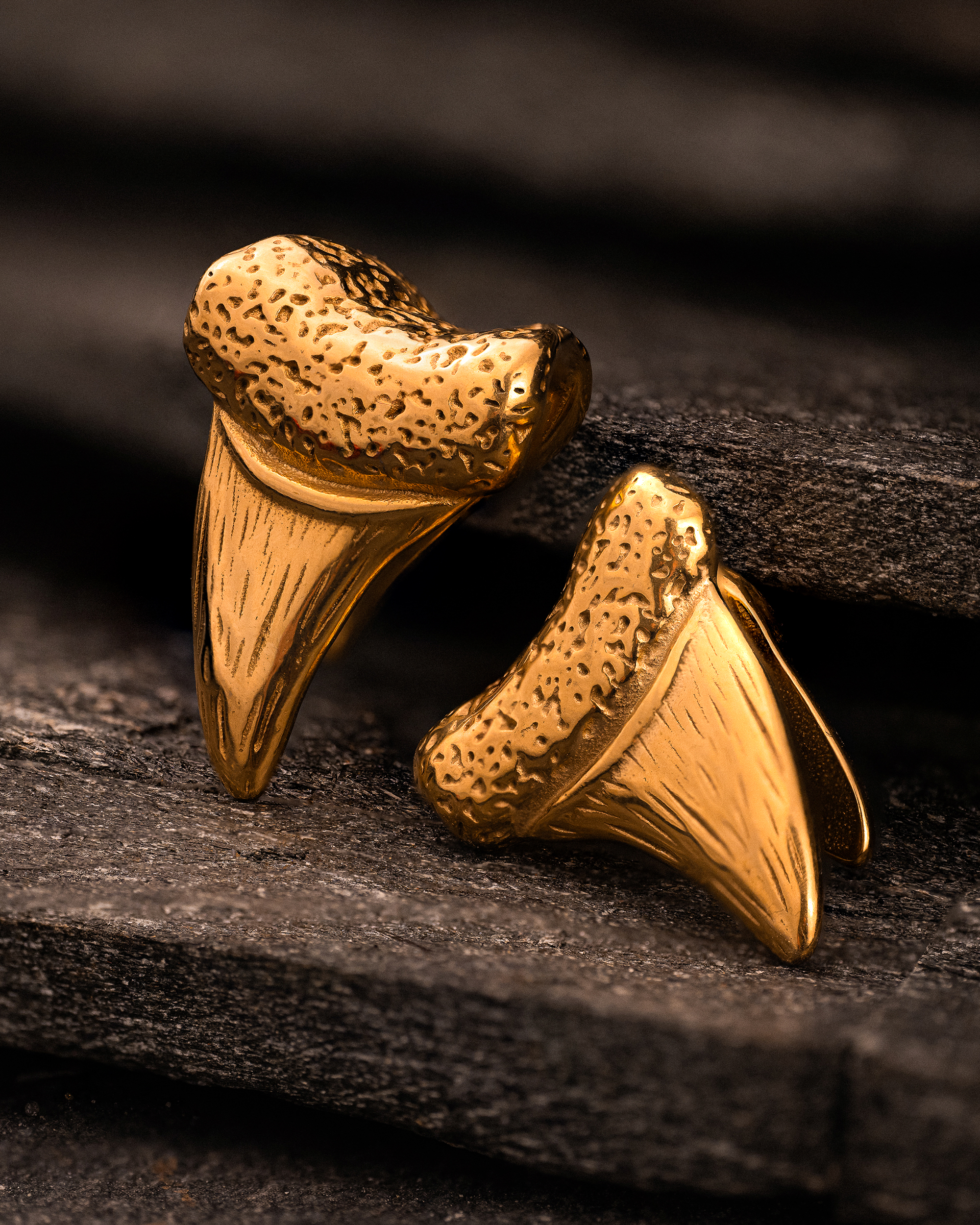 Realistic Jaws Cool Gold Shark Tooth Earring Hangers (Pair)