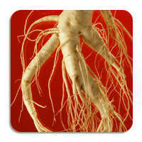 Korean Red Ginseng