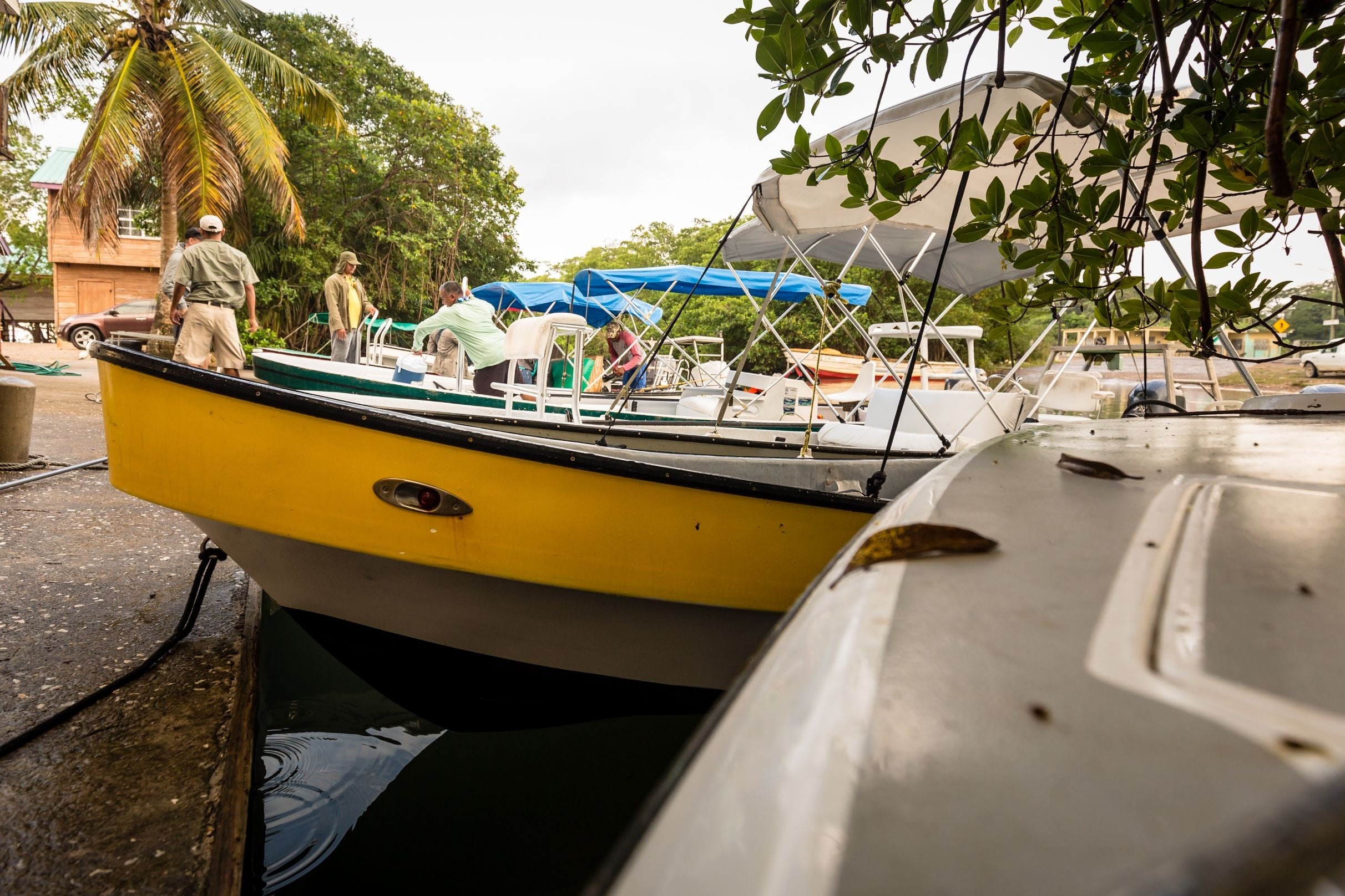 Copal Tree Lodge - Belize Fishing Lodge | Yellow Dog Flyfishing