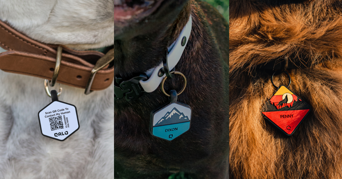 QALO Pet Essentials: All Silicone Dog Tags, Bowls, Collars & Leashes