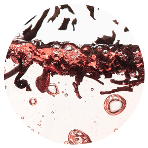 Exfoliating Body Wash Black Tea & Rosé - Sugar Scrub with Plant-Derived AHAs