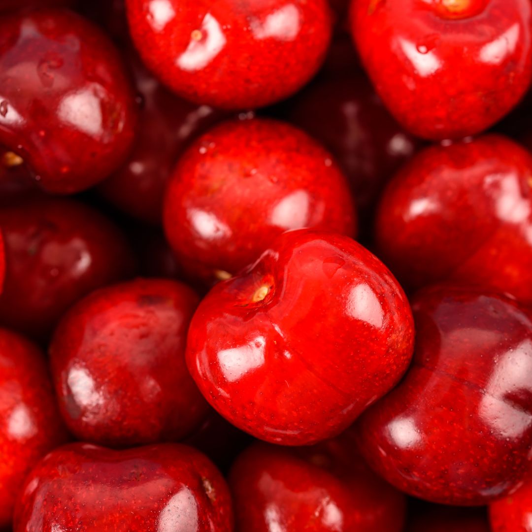 Bitter Cherry Seed Oil