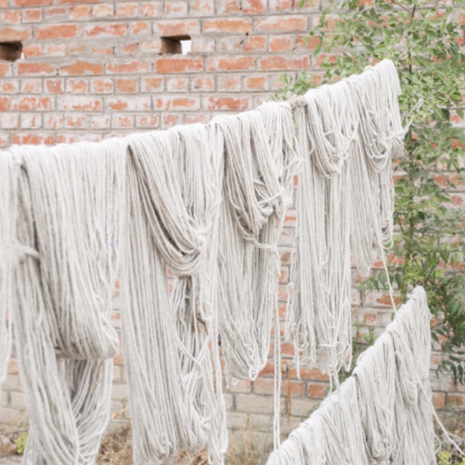 Anoushka Hand-Knotted Area Rug – The Citizenry