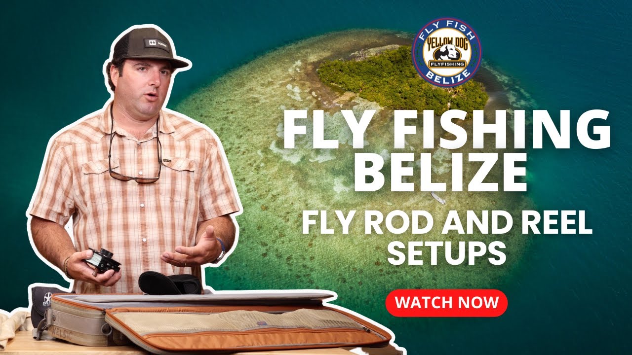 Belize River Lodge - Belize Tarpon Fishing