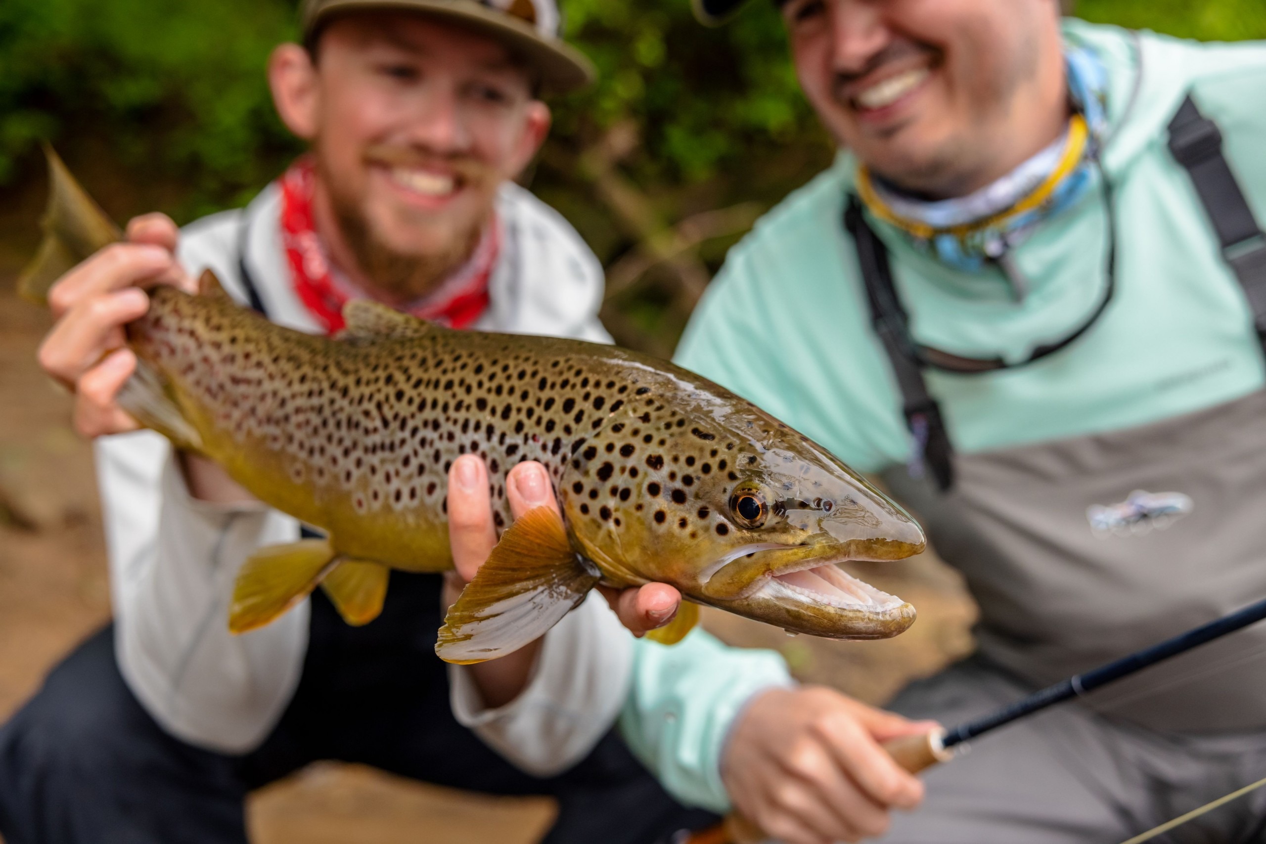 Book your Professional Guide Fly Fishing Trip Now For 2018 - Madison River  Outfitters