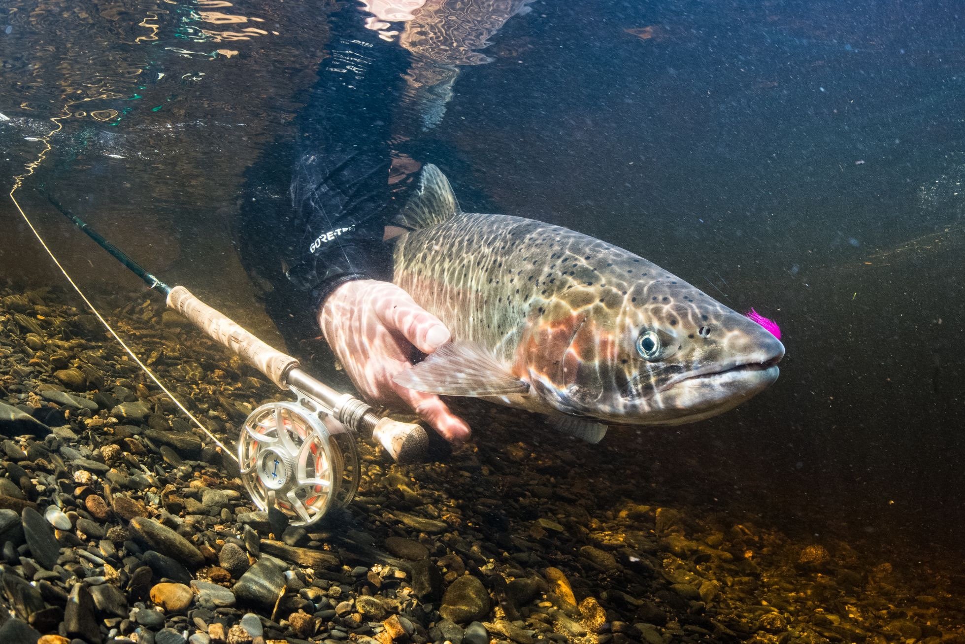 alaska fly fishing rods 9' 5wt AK (Alaska Fly Rod) "Big Hitter" Salmon & Steelhead
