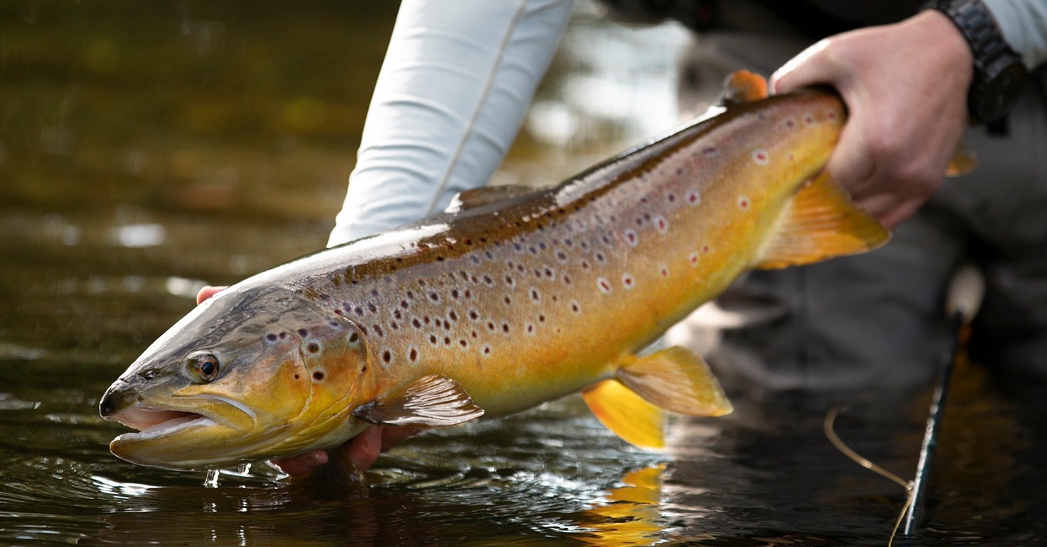 Apparel - Guideline Fly Fish Canada