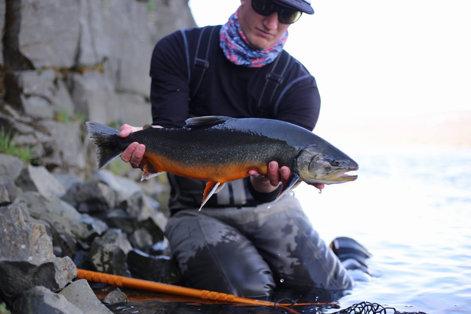 Fish Partner Customized Iceland Fishing Trips Flyfishing Yellow Dog