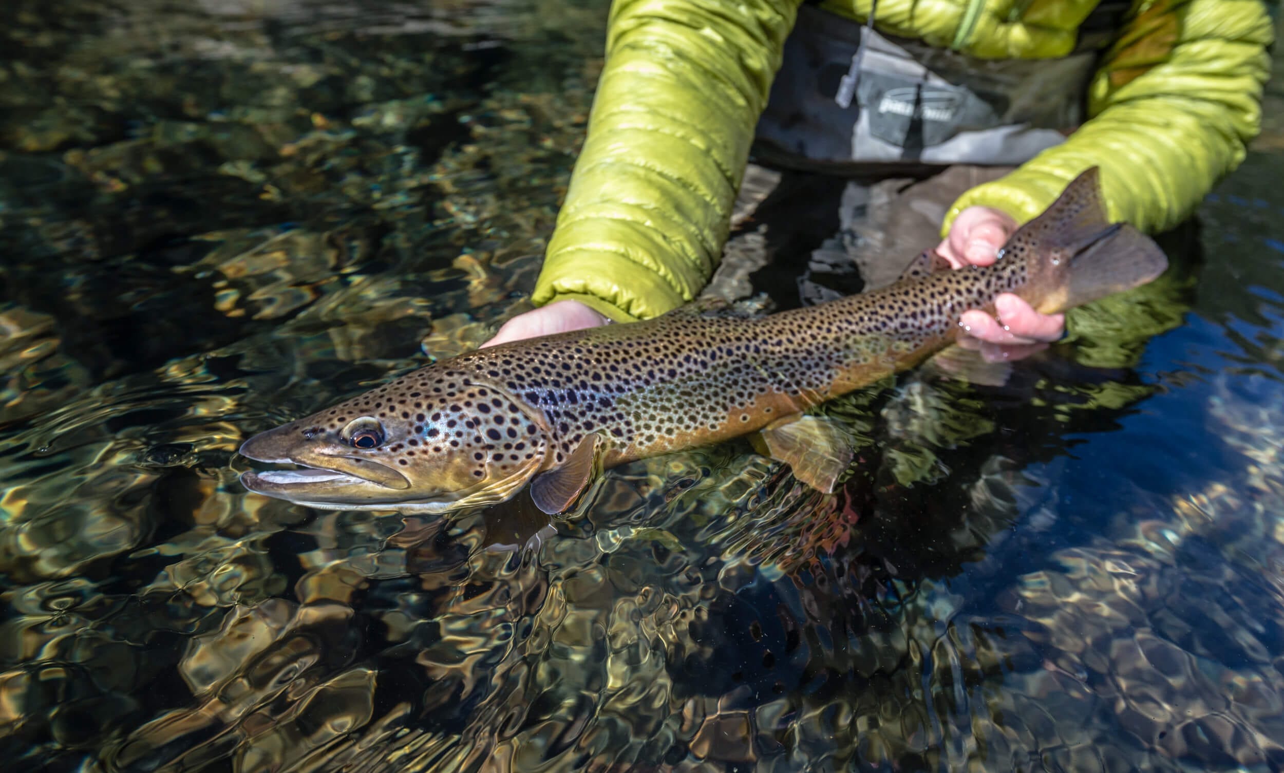 Chocolate Lab Expeditions - Custom Patagonia Fly Fishing