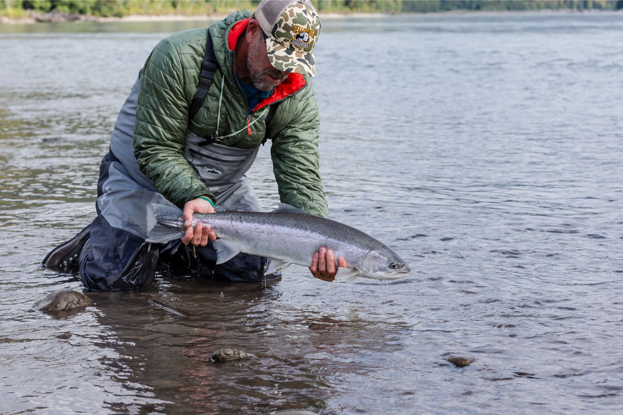 Salmon Fishing Skeena River, Hosted Kalum River Lodge